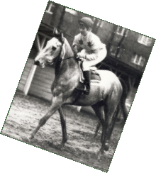 Die Reiterin und ihr Pferd
